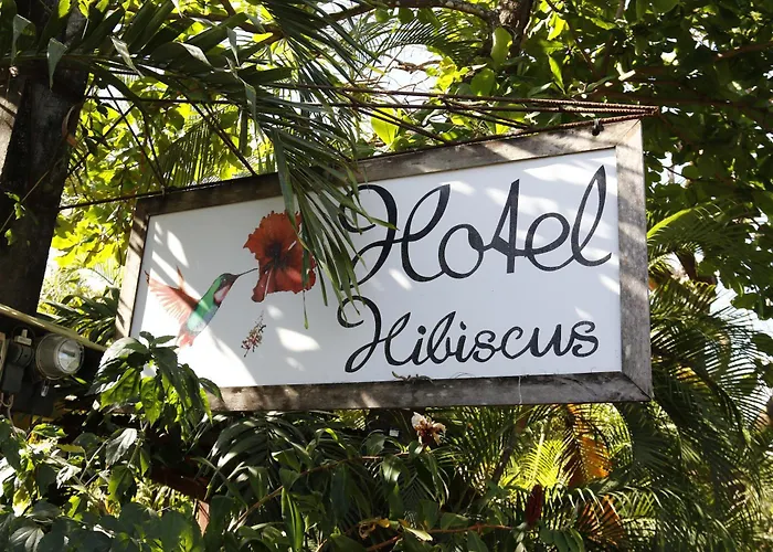 Bed and breakfast Hibiscus 3*